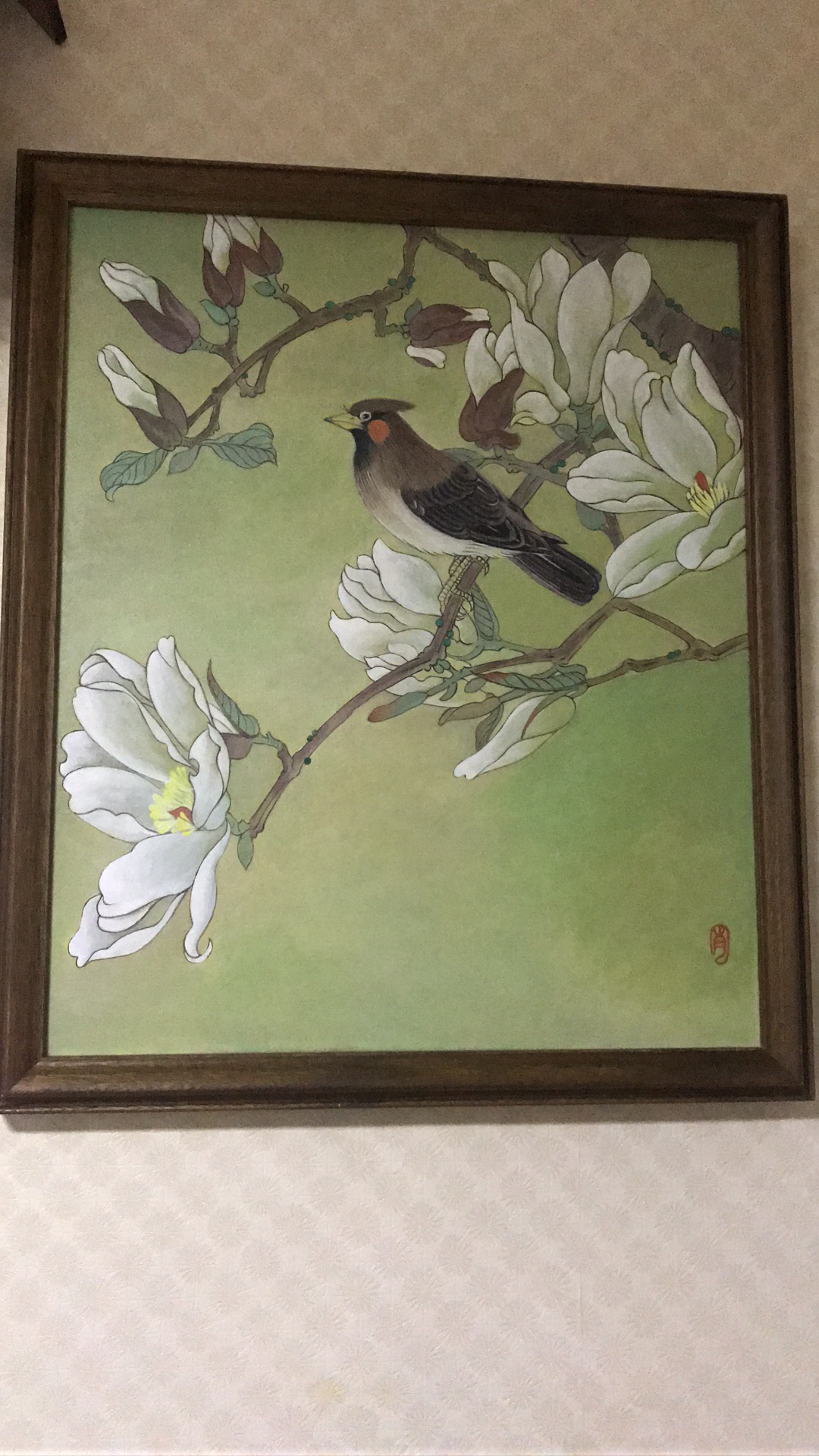 玉兰花.JPG