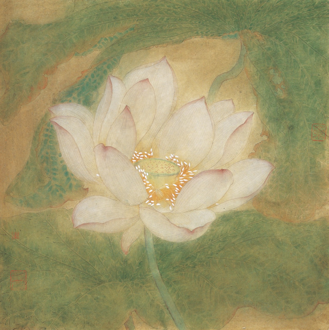 靥33x35cm             尺寸 :  35x35 cm             作者 :  叶苖